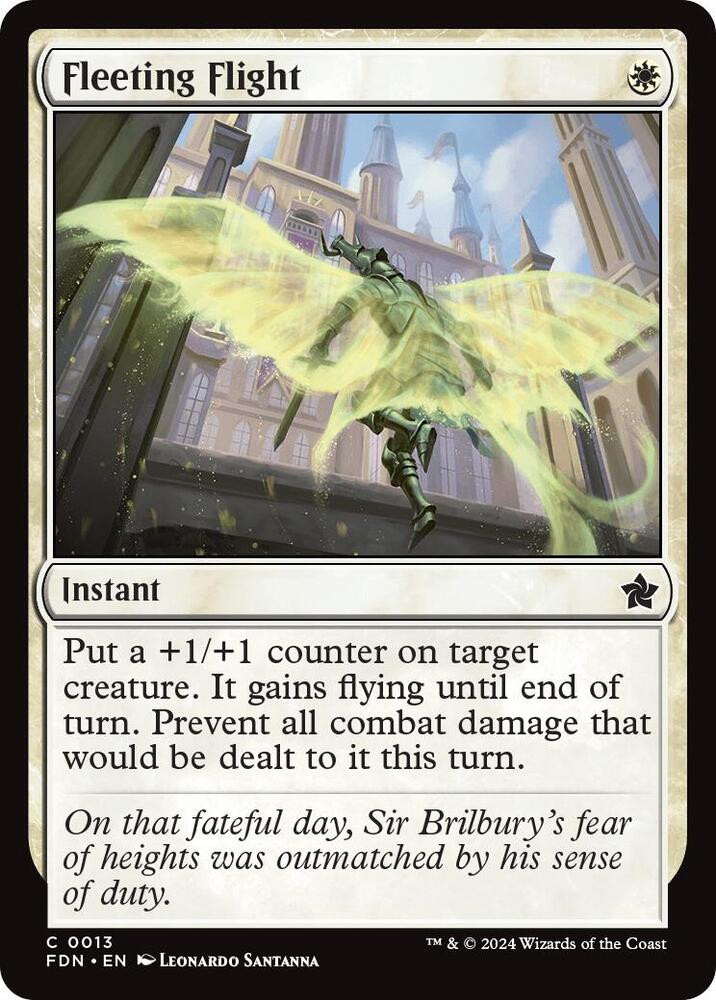 Fleeting Flight - Foundations